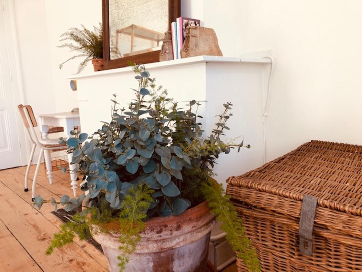 Logies Lapin Bed & Breakfast Antwerp Luaran gambar